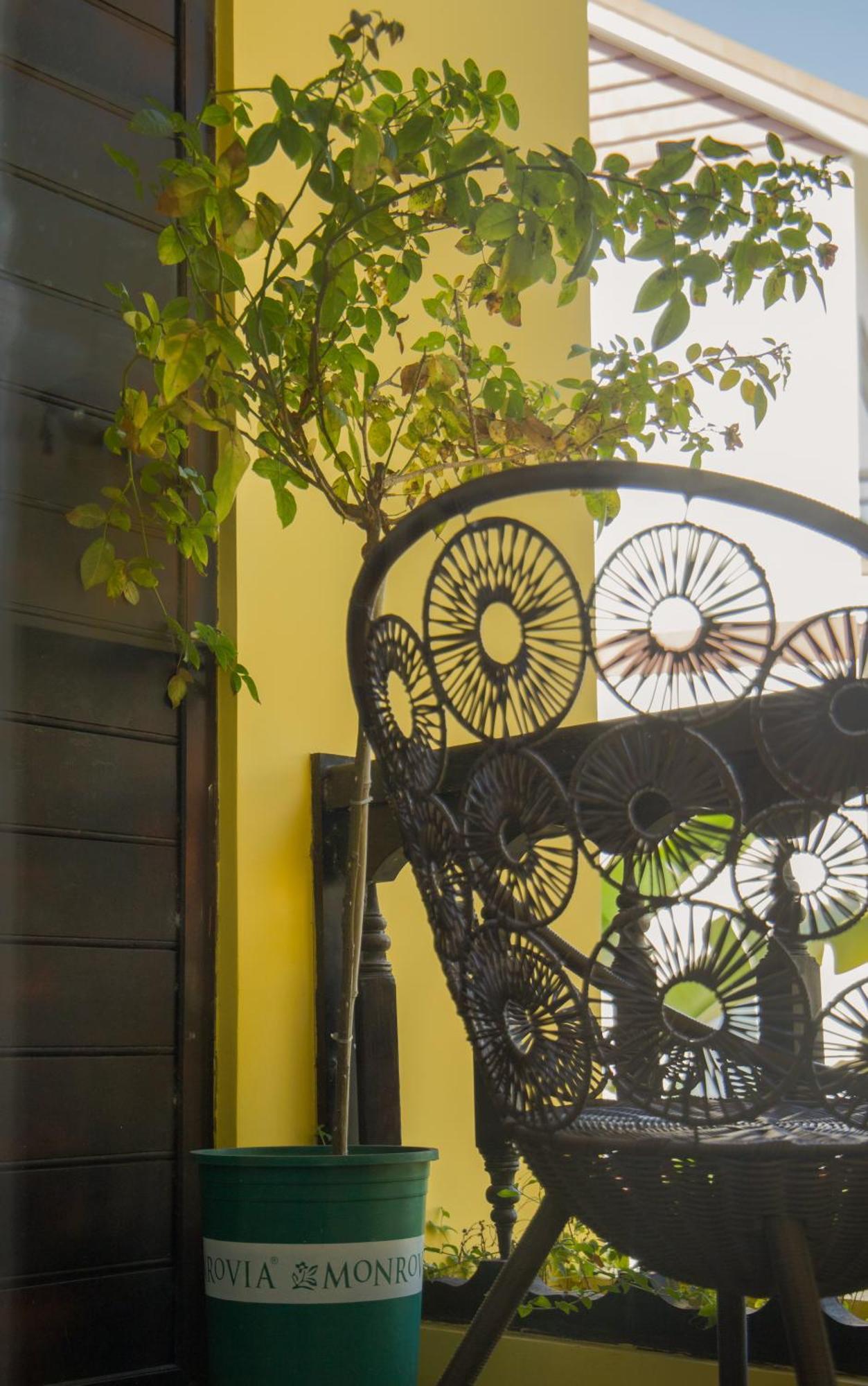 Rosie Villa Hoi An Exterior foto